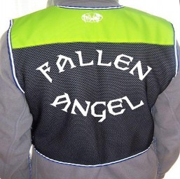 fallenangel back